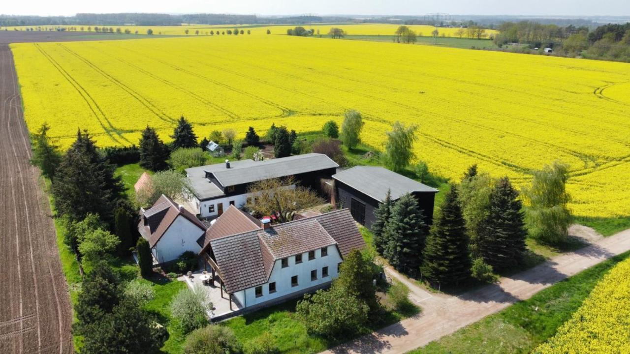 Ein Bett Im Kornfeld - Haus Fernweh - Innenpool Apartment